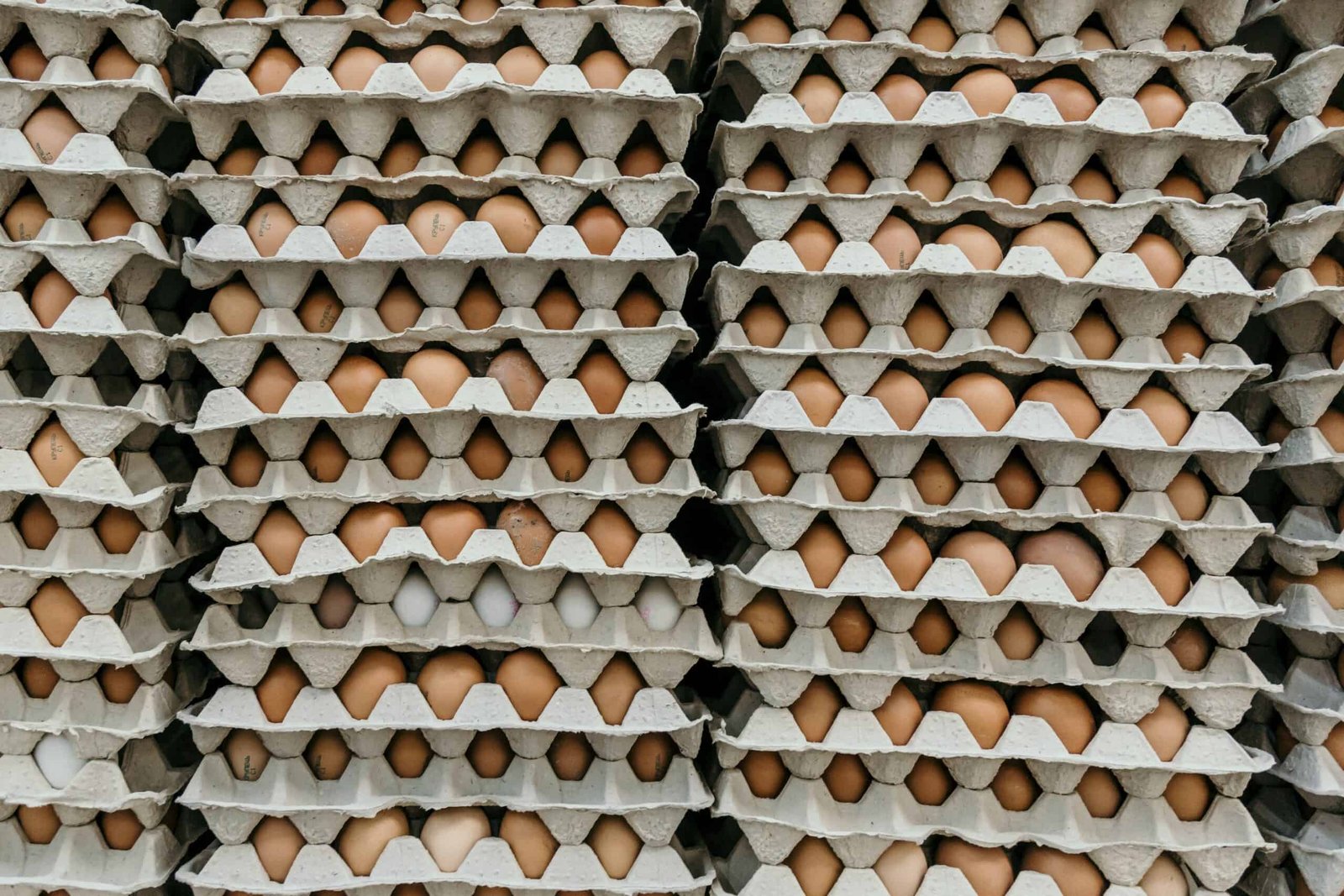 Can a Vegan Eat Eggs can a vegan eat eggs