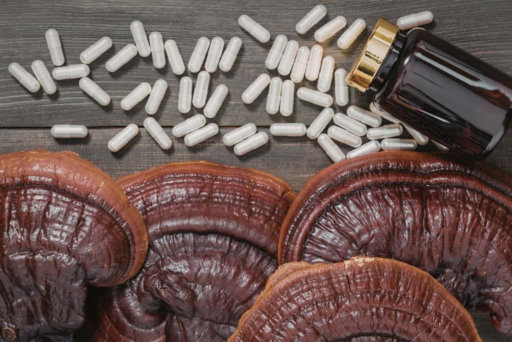Reishi Vegan Supplements in the UK