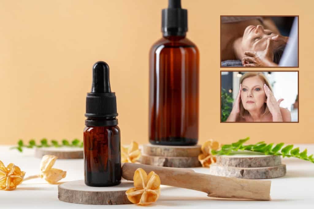 Where Can I Buy Vegan Anti Pollution Skincare in the UK vegan anti-pollution skincare
