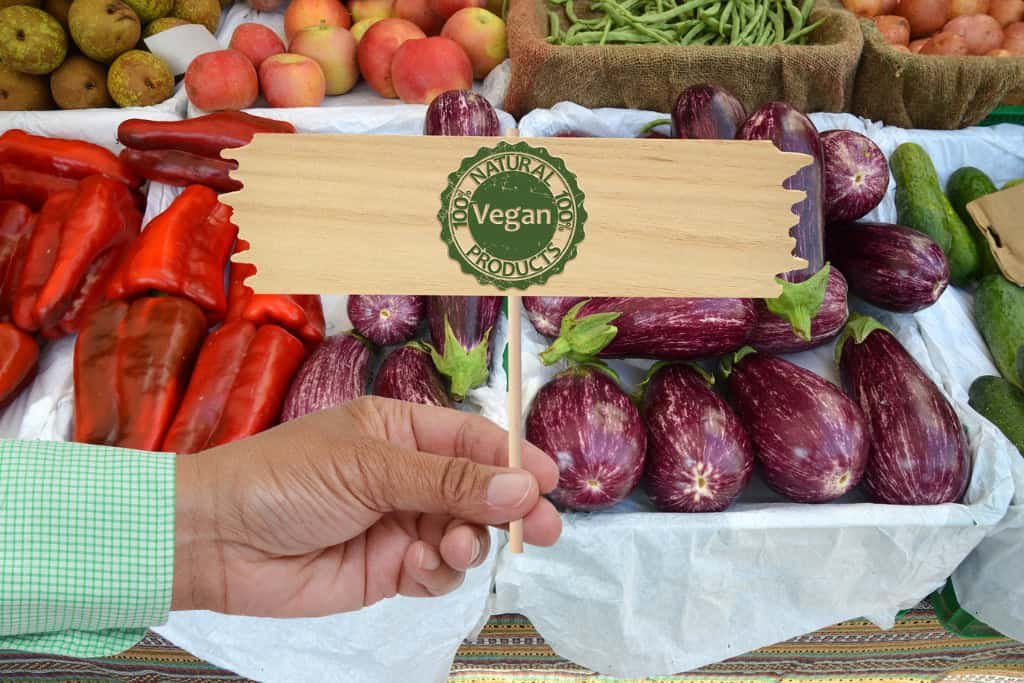 Vegan Department Store UK What to Expect and How to Find Everything in One Place Vegan Department Store UK
