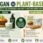 Vegan vs Plant-Based UK: What's the Difference and Why It Matters When You Shop Vegan vs Plant-Based UK